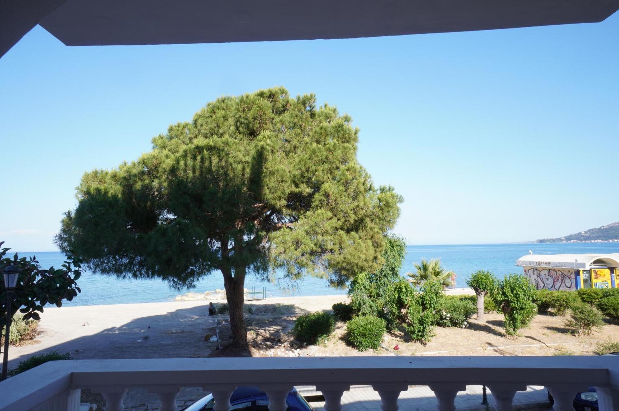 Seafront Spirit Suites Zakynthos stad Rum bild